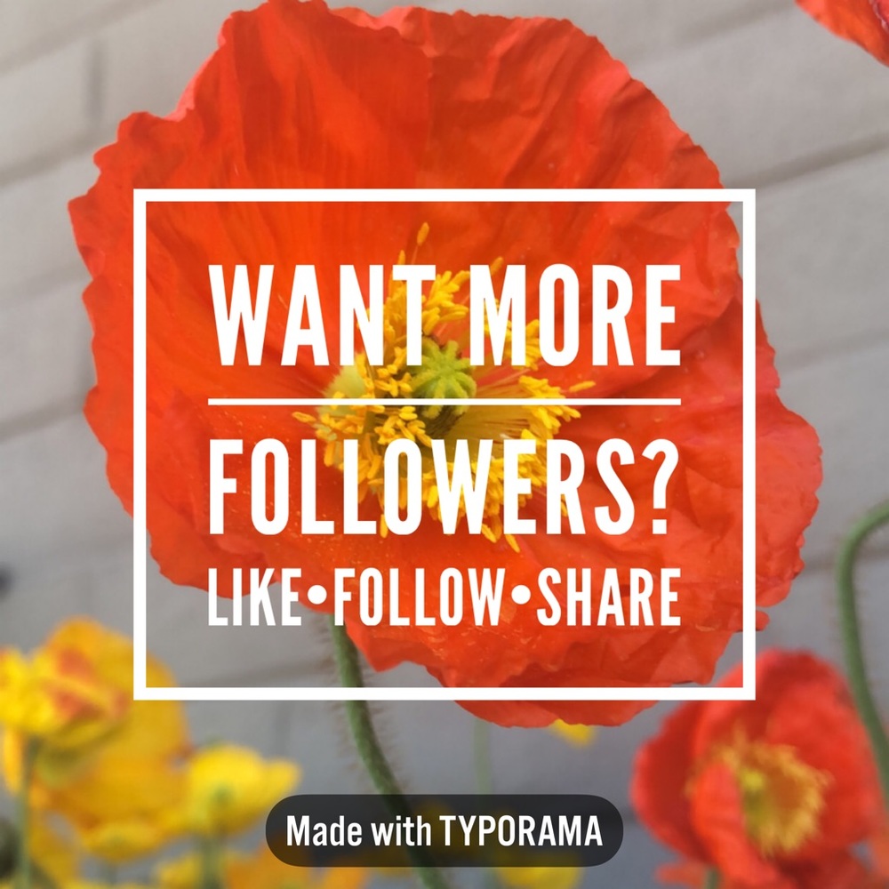 Help Me Get To 100k Followers!!  Follow Game